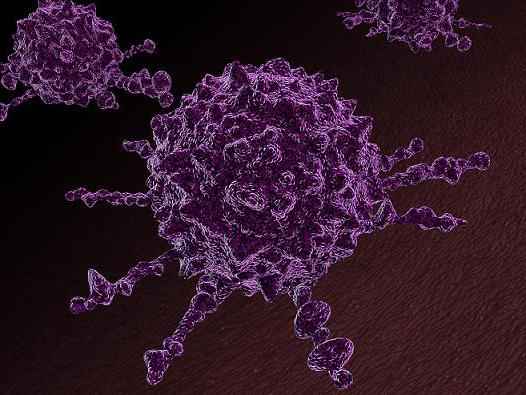 Передаются ли раковые клетки по наследству